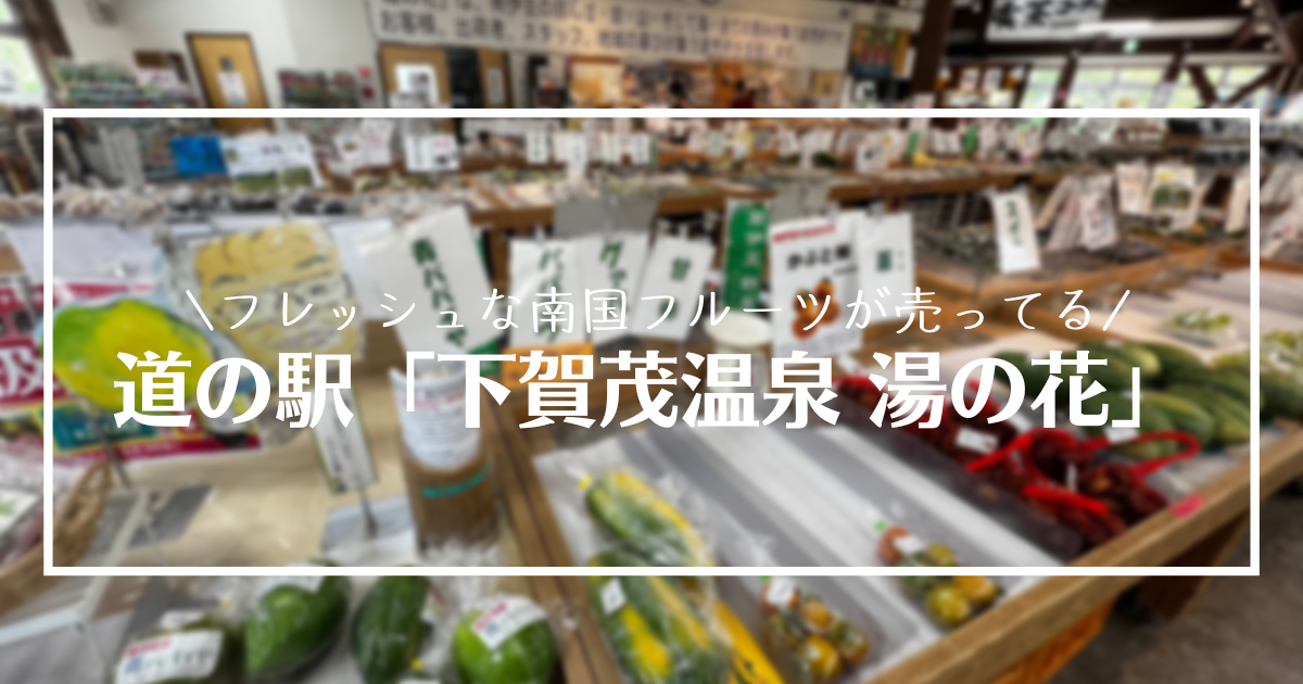 【道の駅 南伊豆町】道の駅「下賀茂温泉 湯の花」新鮮な野菜や海鮮がお買い得!