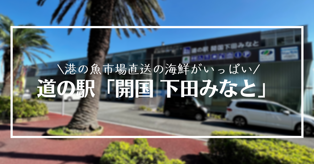 【道の駅 下田市】道の駅「開国 下田みなと」港の潮風が吹くひろ〜いデッキで一息!
